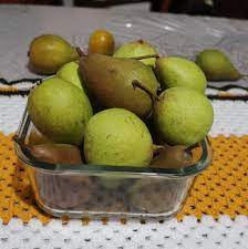 Durazno abridor